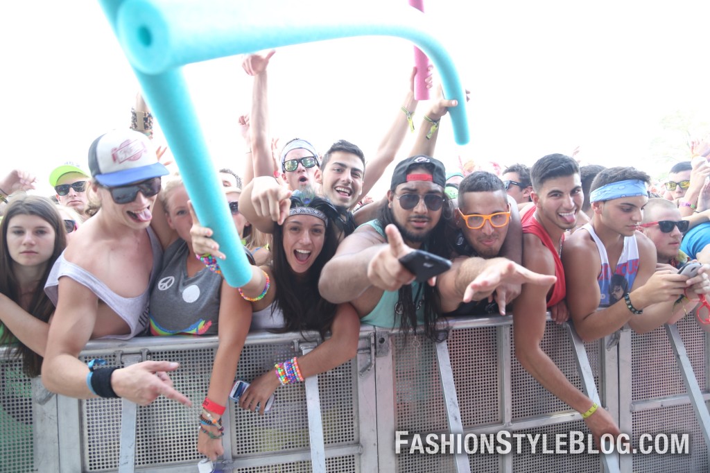 crowd goes wild at VELD music festival